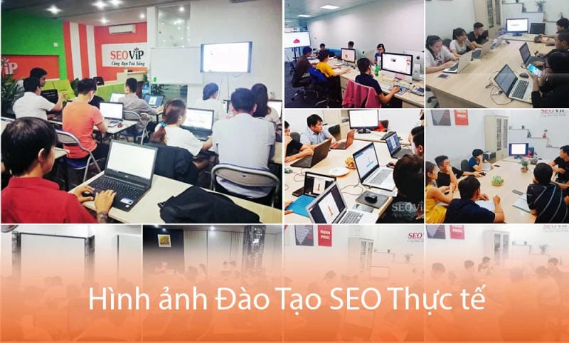 SEOViP Academy nổi bật nhờ triết lý "học để làm được ngay"
